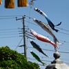 K川下流域～所用の為道を反れて・・こいのぼり