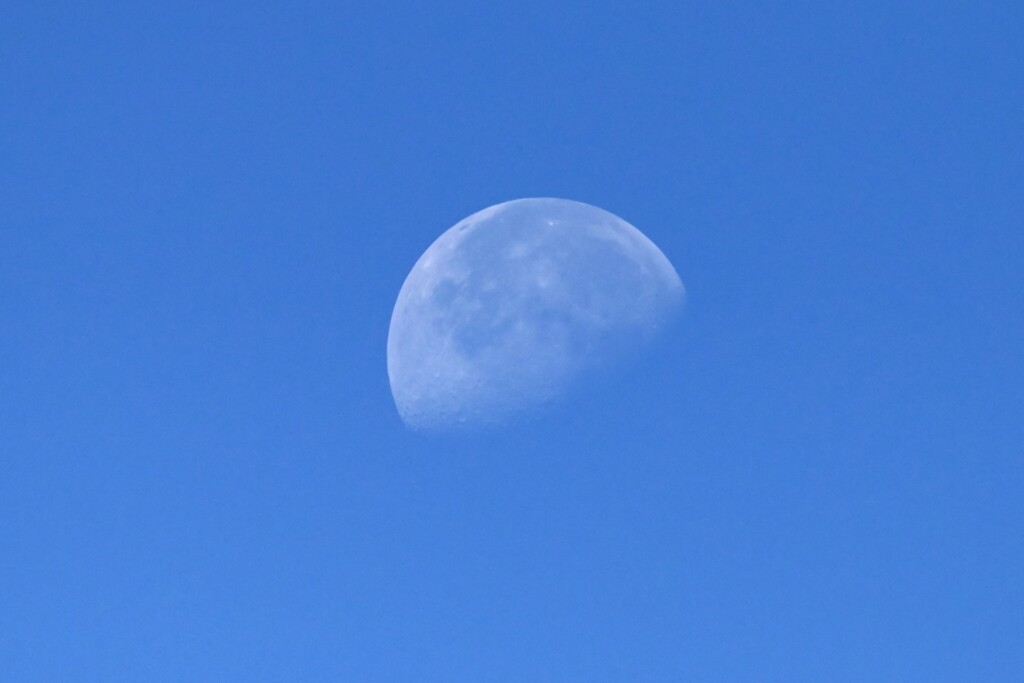 下弦の月（9月16日朝8時半）