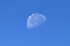 下弦の月（9月16日朝8時半）