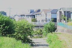 K川・猛暑の川原