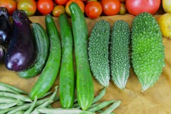 菜園・ゴーヤ、キュウリなど
