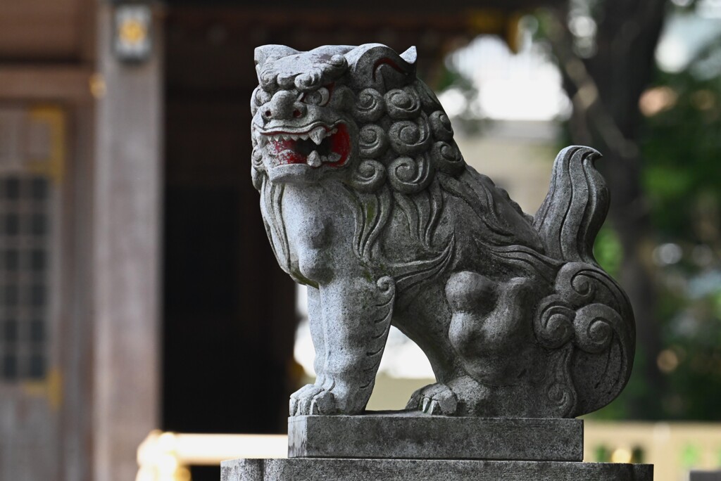 八坂神社・こまいぬ（あー）