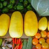 菜園・7月29日の収穫 (マクワウリ5個)