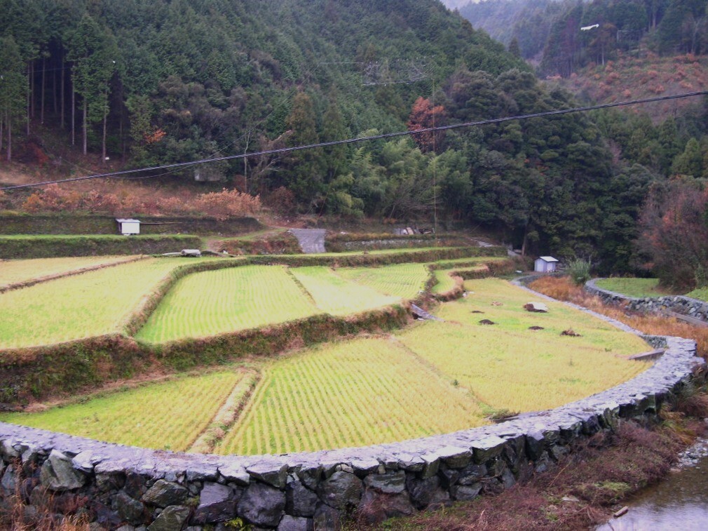 我が故郷の棚田