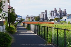K川下流域・沿道は人も無く静かに過ぎる