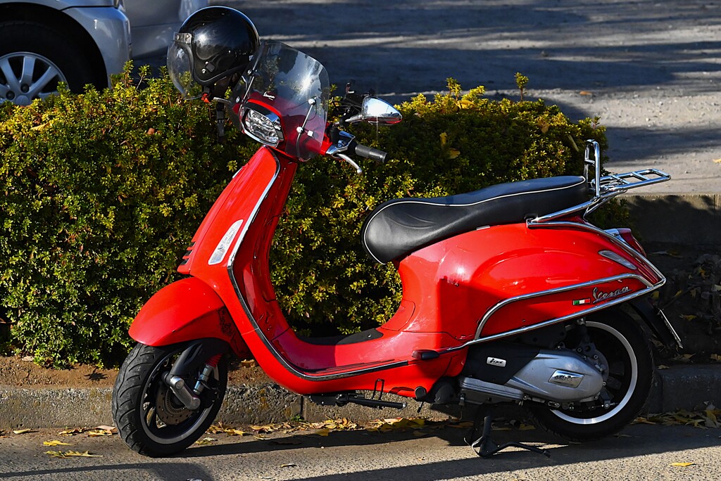 用水路・沿道脇の公園ーイタリア-ピアッジオ-ベスパ