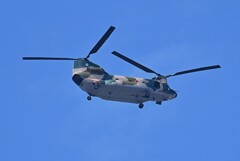 Ｋ川上空・自衛隊大型輸送ヘリコプター（CH47チヌーク）
