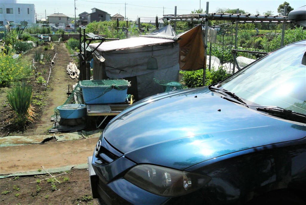 愛車と小屋