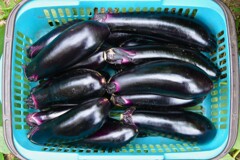 菜園・ナス2種