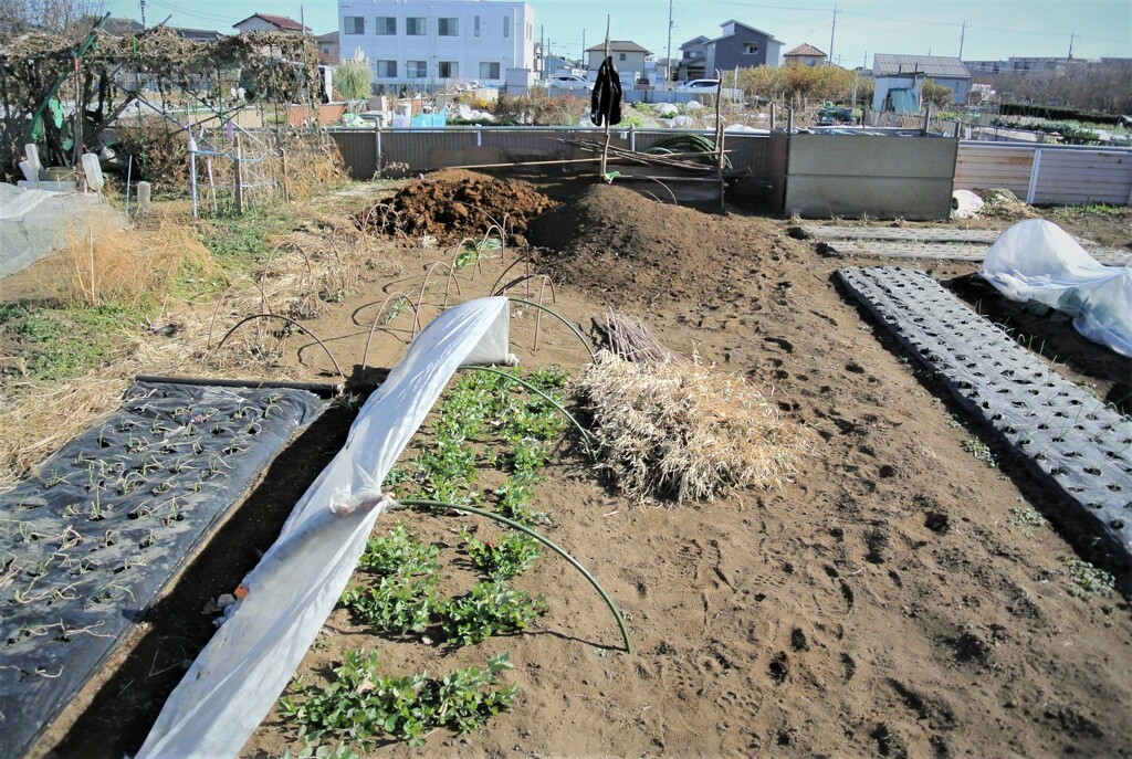 ゴミ穴・ゴミ箱の風景