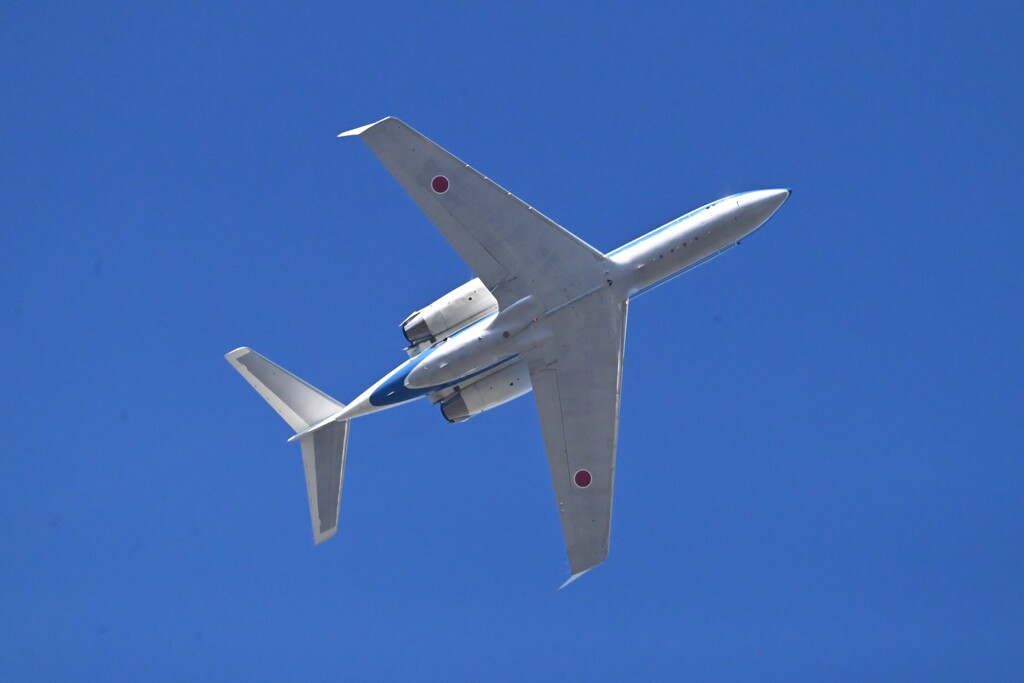 菜園・自衛隊機（U-4多用途支援機）