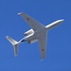 菜園・自衛隊機（U-4多用途支援機）