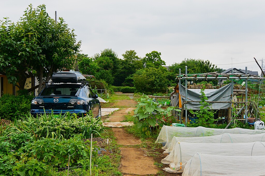 菜園・道具小屋と愛車北方面