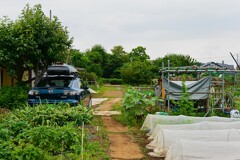 菜園・道具小屋と愛車北方面