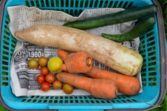 菜園・頂きものとわずかな収穫と・・