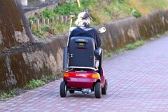 SUZUKIセニアカーET4D