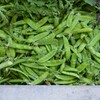 菜園・大量のエンドウ豆