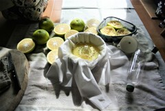 いよいよ夏ミカン絞り解禁