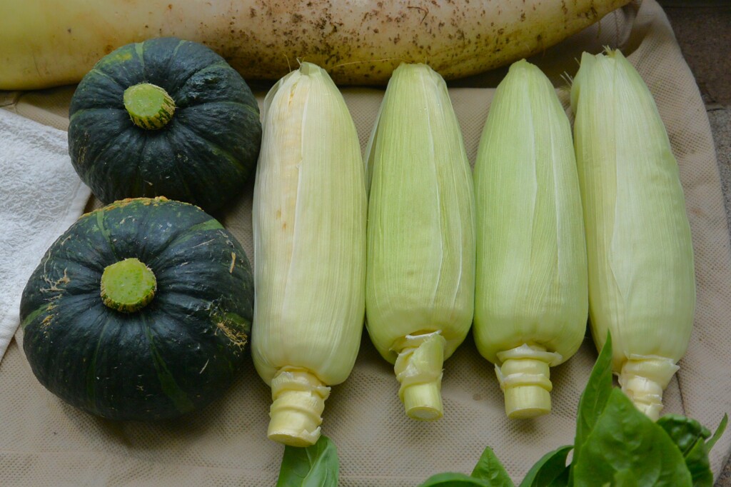 菜園・7月4日の頂き物