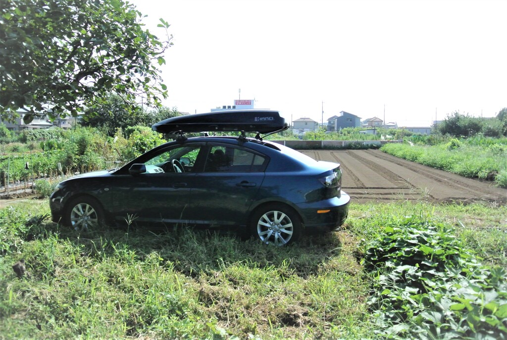 新規菜園と愛車