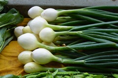 菜園・5月9日間引きタマネギ（葉タマネギ）