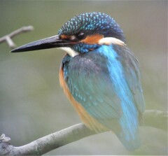 春霞に浮かぶ翡翠ブルー