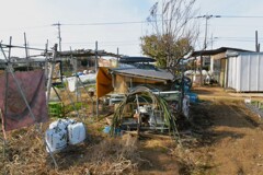 菜園・道具小屋周辺、近況報告