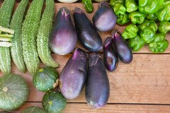 菜園・8月25日の収穫 (ナス)