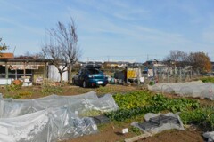 菜園・道具小屋周辺の近況報告