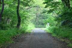 朝一のA公園