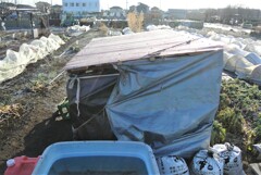 最終仕上げの朝は霜・・