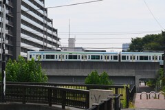 Ｋ川中流域・西武国分寺線を8000系が通過していく