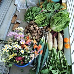 全体収穫・角度を変えて・・