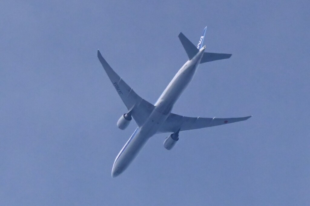 K川上空・旅客機（ANA）