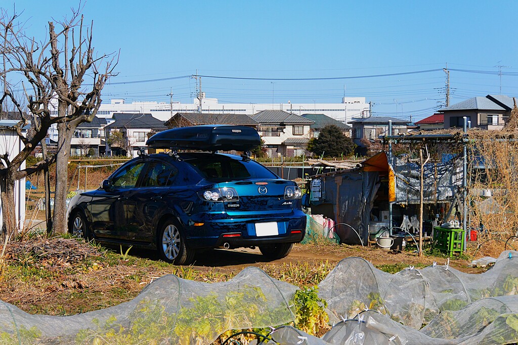 菜園・道具小屋周辺と愛車