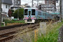 ススキ沿線・52席の至福（ピンクのリアビュー）