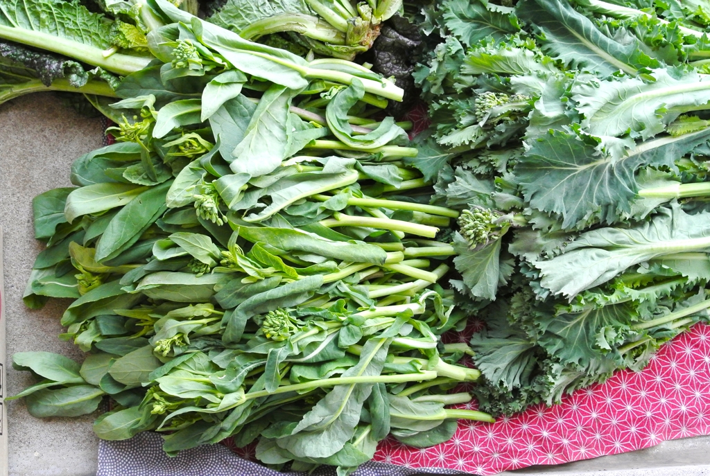 菜園・コマツナの菜花、チリメンフユナの菜花