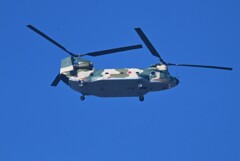 菜園上空・CH-47チヌーク