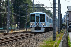 黄砂沿線・52席の至福フロントビュー