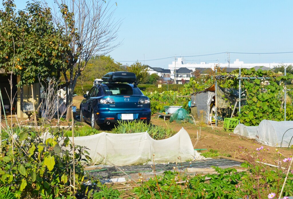 菜園・道具小屋と愛車