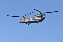 菜園から自衛隊機・ボーイングCH-47チヌーク（大型輸送ヘリコプター）