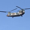 菜園から自衛隊機・ボーイングCH-47チヌーク（大型輸送ヘリコプター）