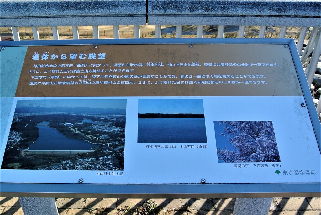 富士山（多摩湖堤防よりの眺望）