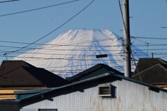 用水路・真っ白クッキリの富士山