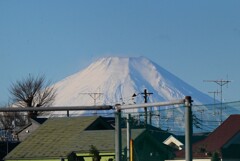 用水路脇公園・真っ白クッキリの富士山