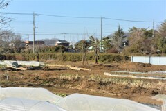 菜園・道具小屋撤去完了全景