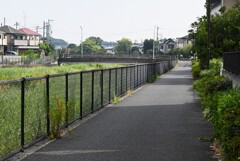 K川下流域・猛暑日朝の沿道は人影なく