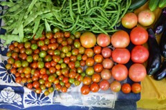 菜園・7月トマト3種