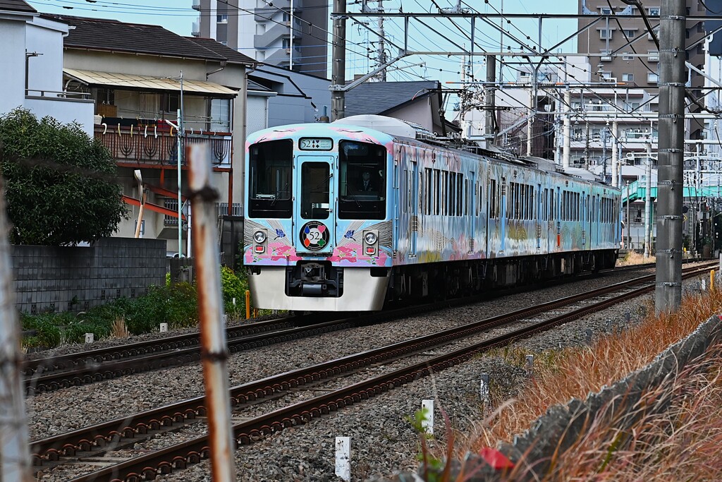 冬枯れ沿線・西武線52席の至福リアビュー