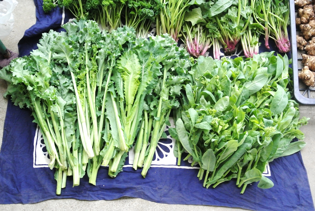チリメンフユナの菜花とコマツナの菜花